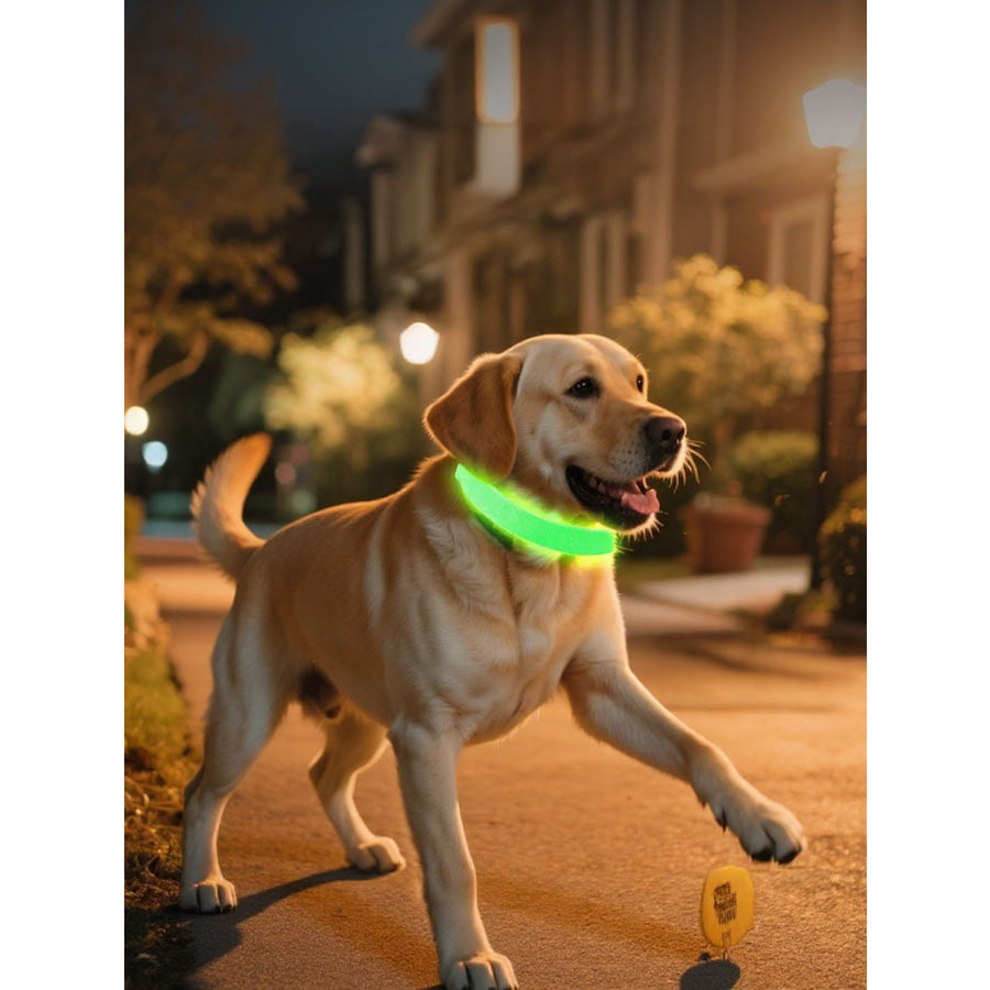 LED Glowing Pet Collar for Night Safety Green / S Apparel and Accessories