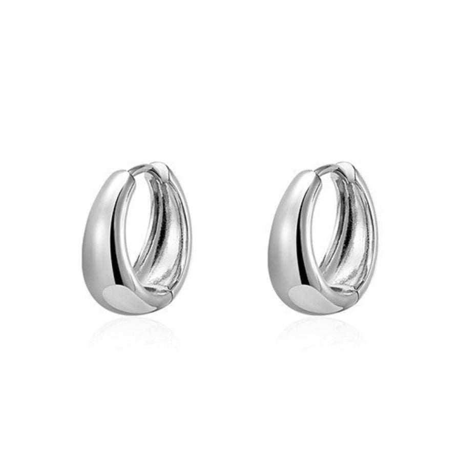 Lightweight Hoop Earrings Silver / One Size Apparel and Accessories
