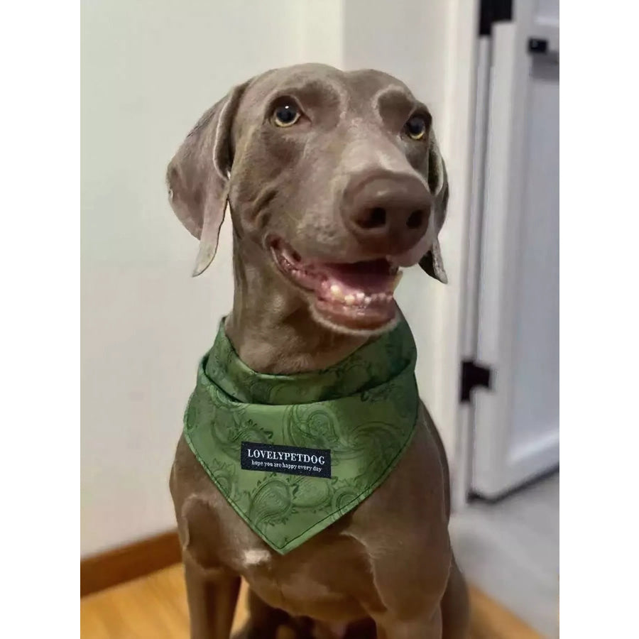 Lightweight Pet Scarf Apparel and Accessories
