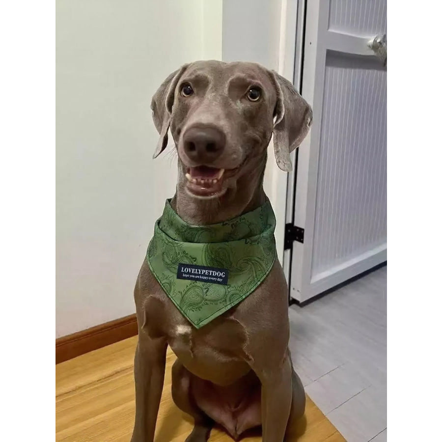 Lightweight Pet Scarf Apparel and Accessories