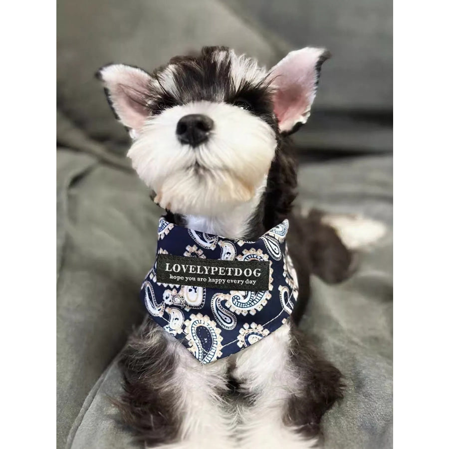 Lightweight Pet Scarf Black / S Apparel and Accessories