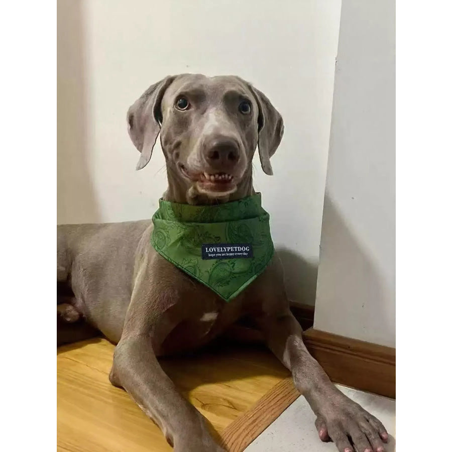 Lightweight Pet Scarf Moss / S Apparel and Accessories