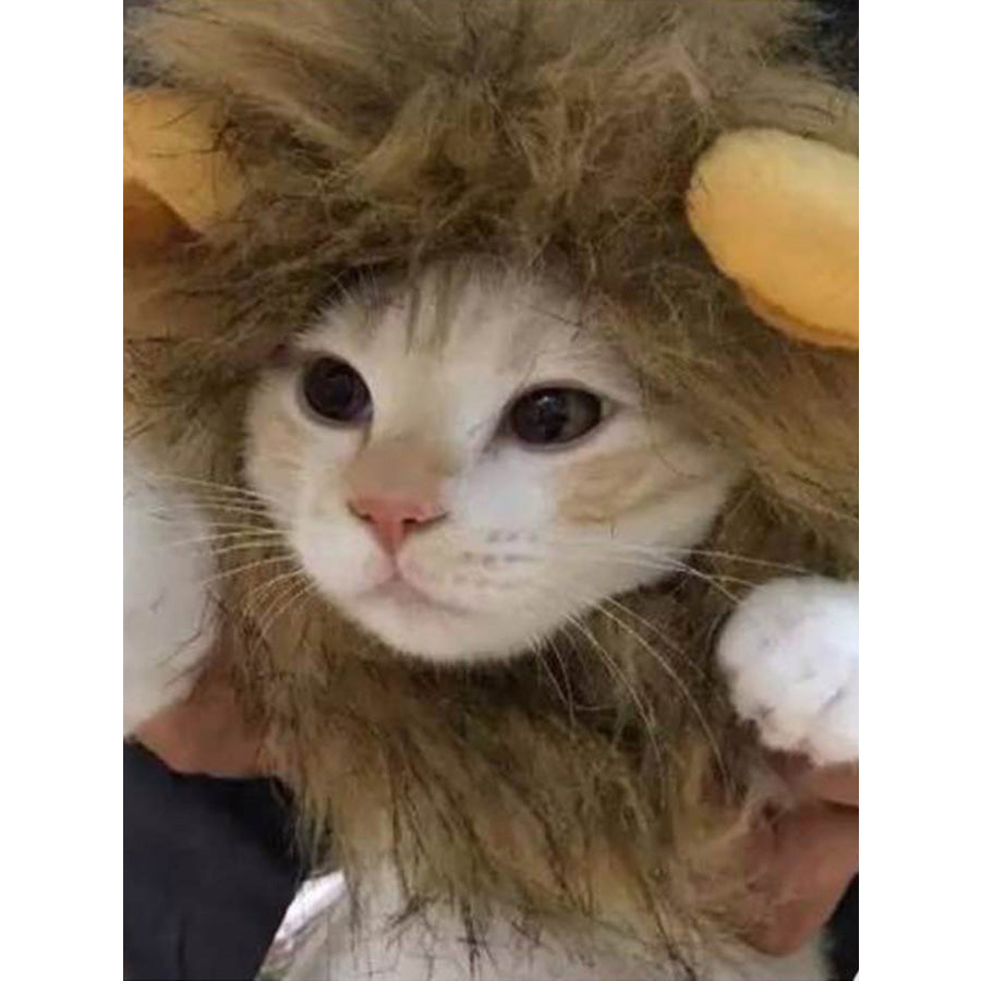 Lion Mane Pet Headwear Apparel and Accessories