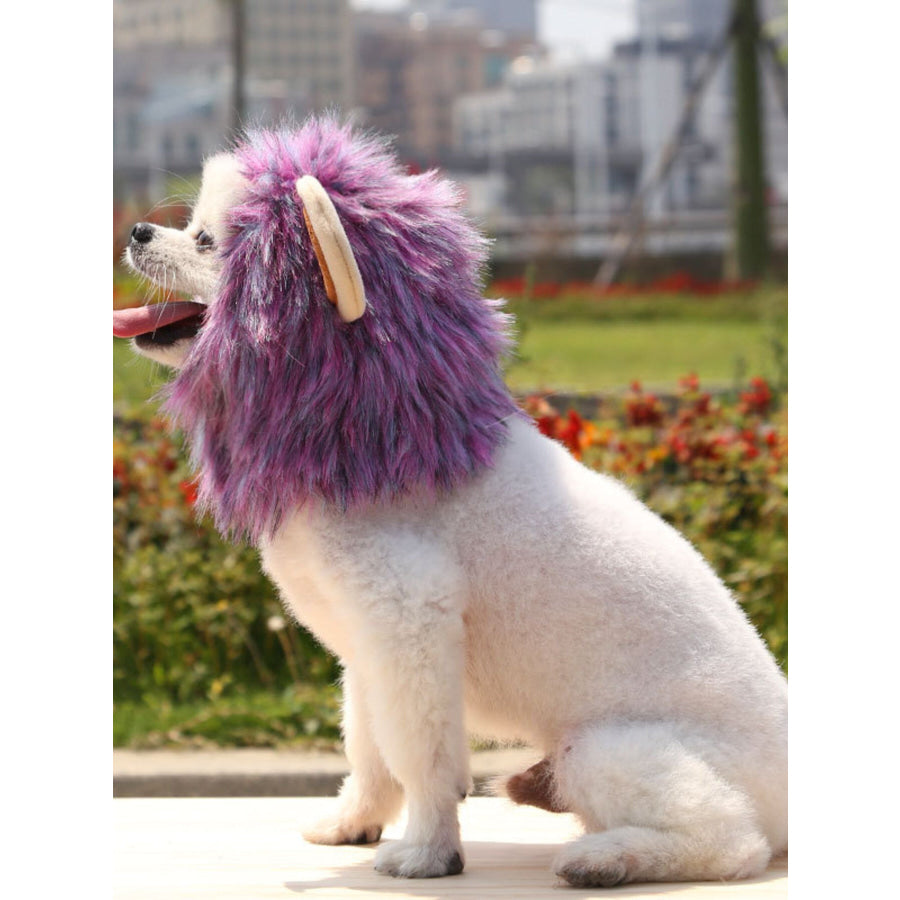 Lion Mane Pet Headwear Apparel and Accessories