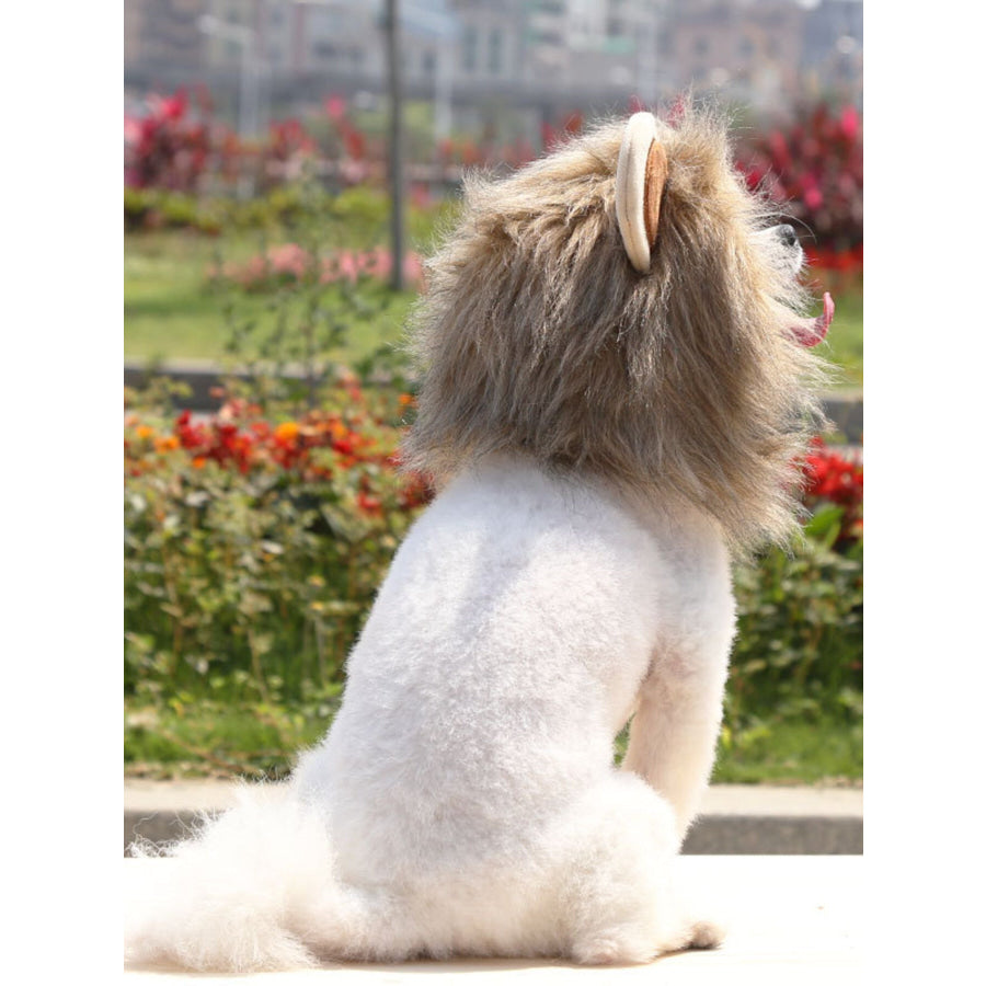 Lion Mane Pet Headwear Apparel and Accessories