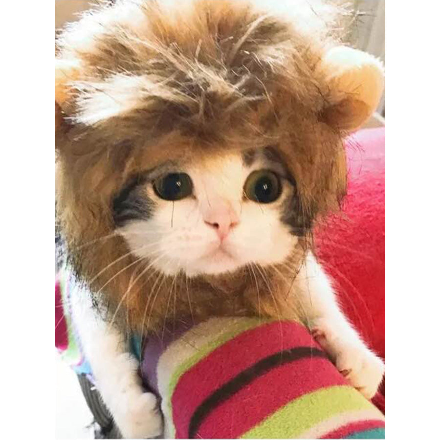 Lion Mane Pet Headwear Apparel and Accessories
