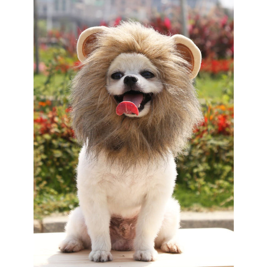 Lion Mane Pet Headwear Apparel and Accessories