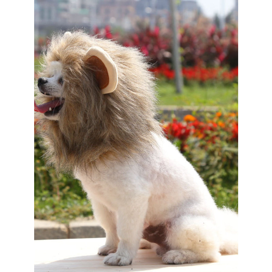 Lion Mane Pet Headwear Apparel and Accessories