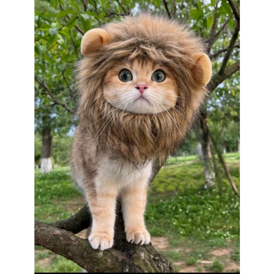 Lion Mane Pet Headwear Brown Lion Hat / S Apparel and Accessories