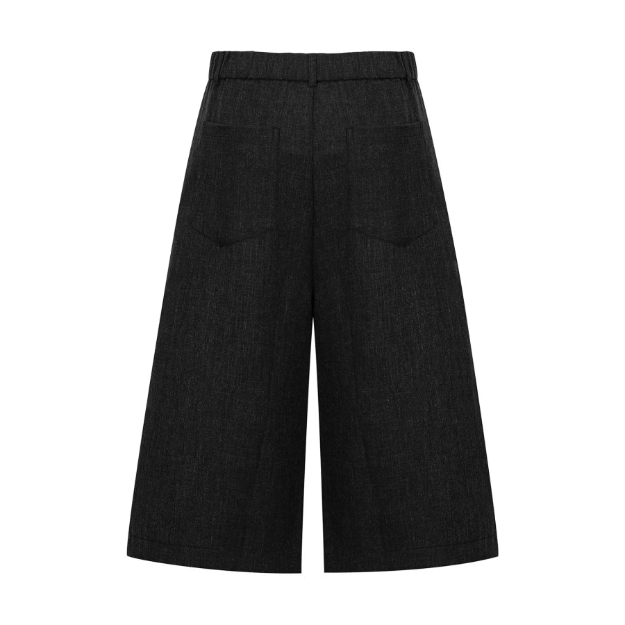 Men’s High-Waisted Pleated Wide-Leg Capri Pants Apparel and Accessories