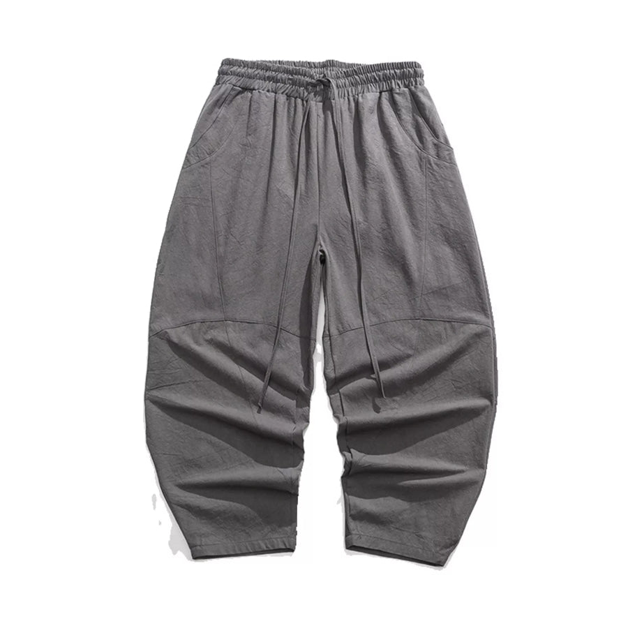 Men’s Plus Size Loose Fit Harem Pants Gray / M Apparel and Accessories