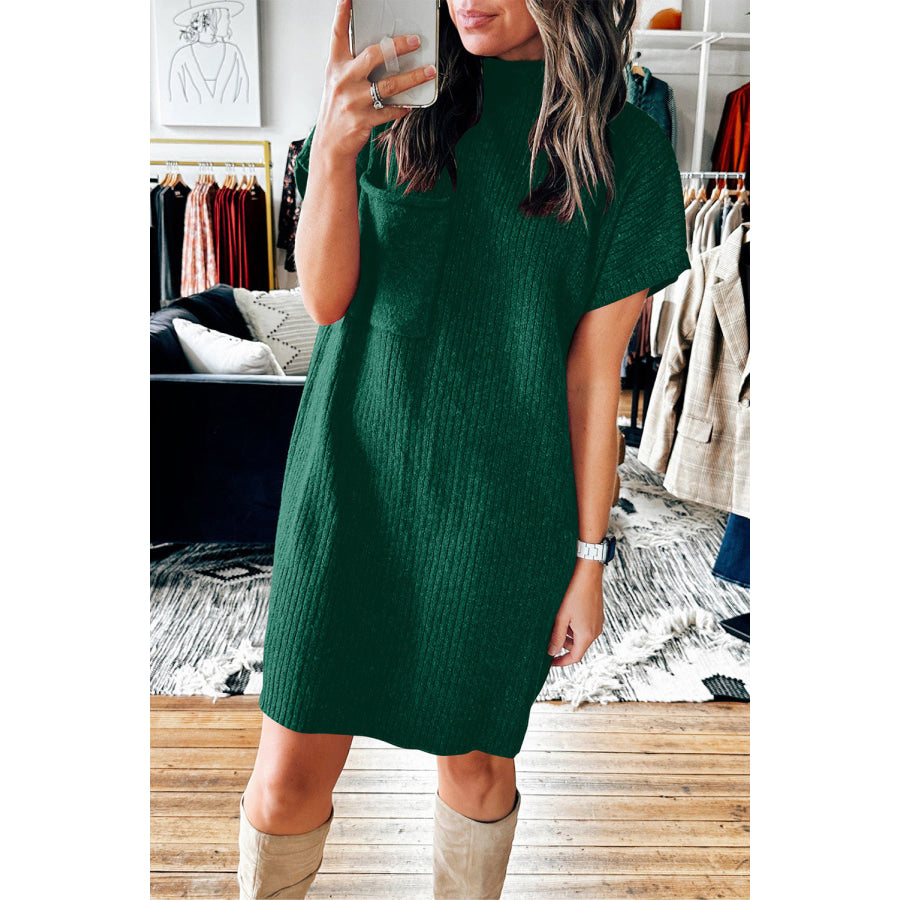 Mock Neck Short Sleeve Sweater Dress Apparel and Accessories