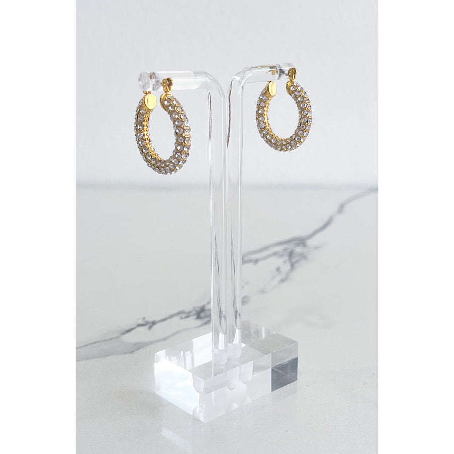 Natural Elements Gold Pave Hoop Earrings WS 630 Jewelry