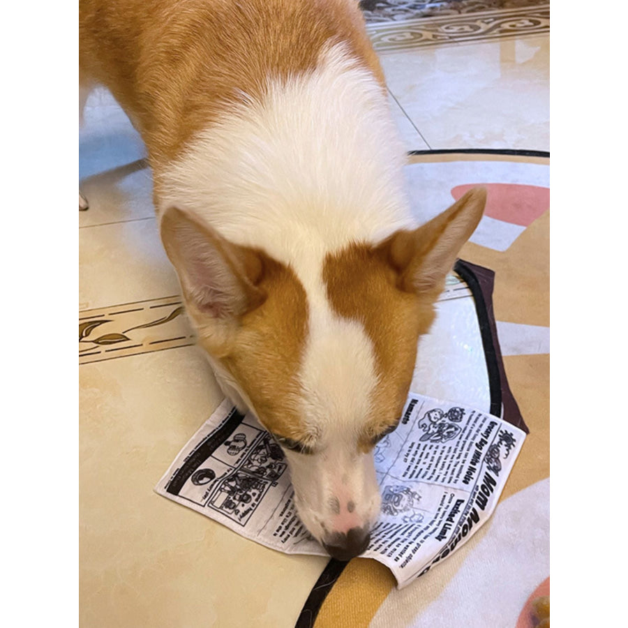Newspaper Style Pet Sound Toy Apparel and Accessories