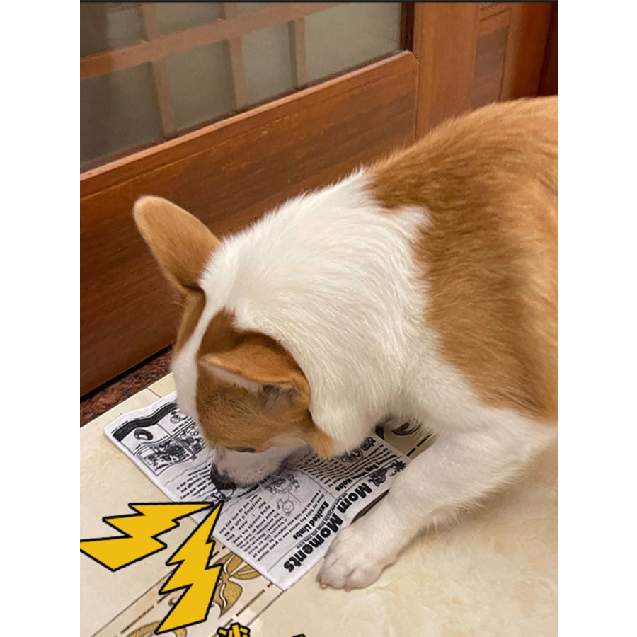Newspaper Style Pet Sound Toy Newspaper / S Apparel and Accessories