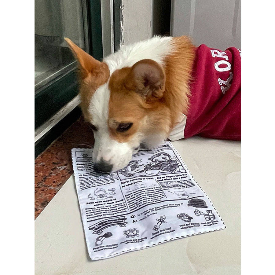Newspaper Style Pet Sound Toy Newspaper / S Apparel and Accessories