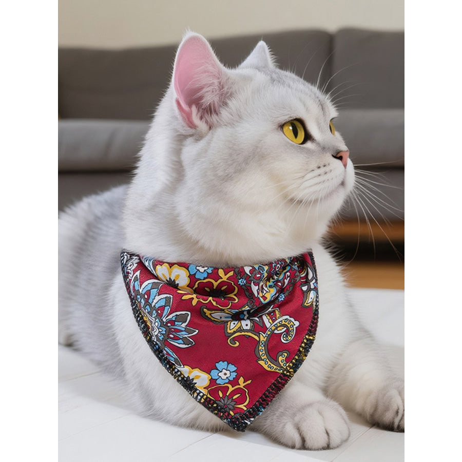 Paisley Print Pet Scarf & Hat Red Scarf / S Apparel and Accessories