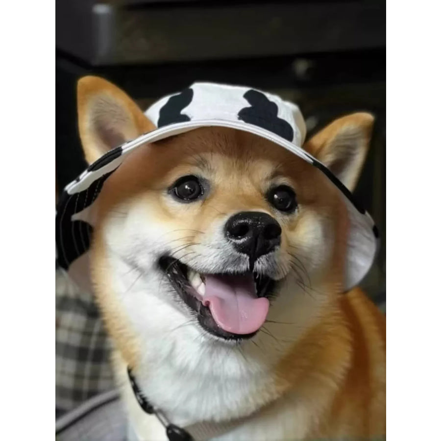 Pet Bucket Hat Black & White / S Apparel and Accessories