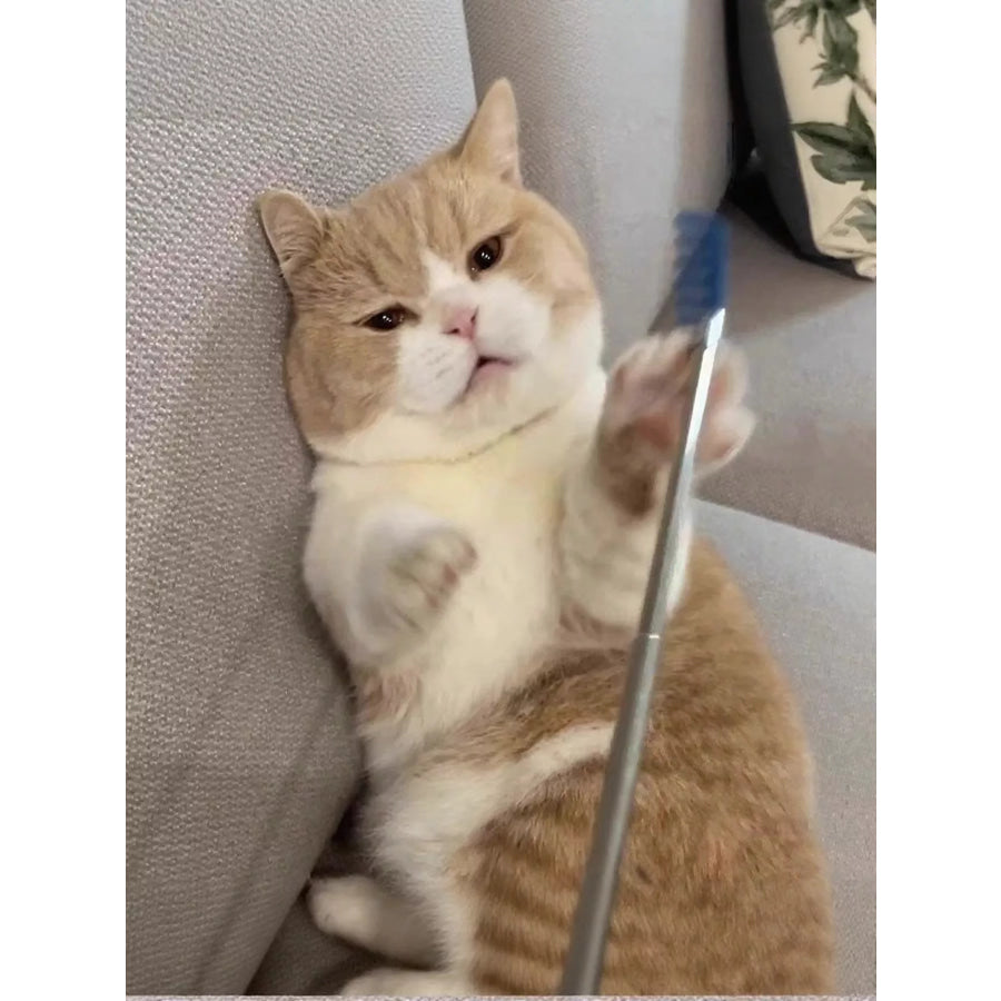 Pet Grooming Comb Apparel and Accessories