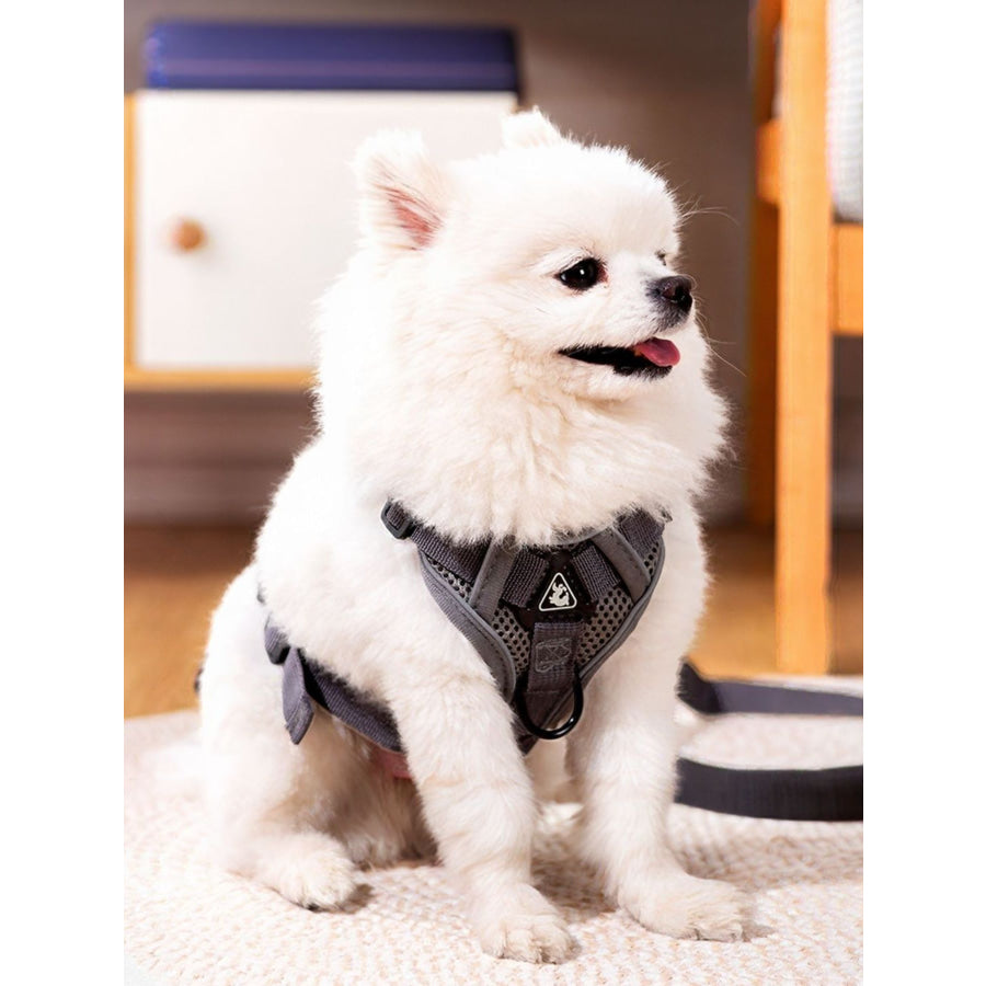 Pet Harness and Leash Set Apparel and Accessories
