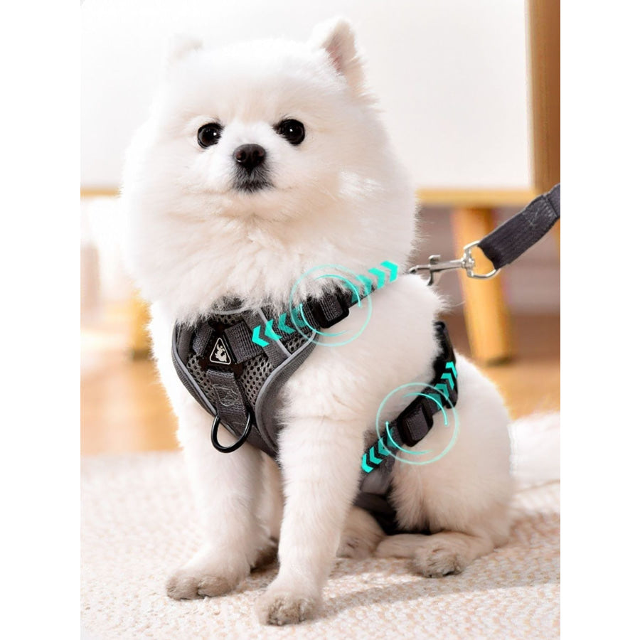 Pet Harness and Leash Set Apparel and Accessories