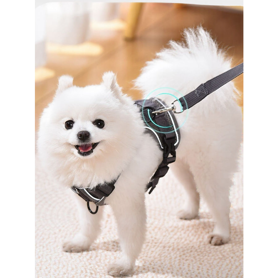 Pet Harness and Leash Set Apparel and Accessories