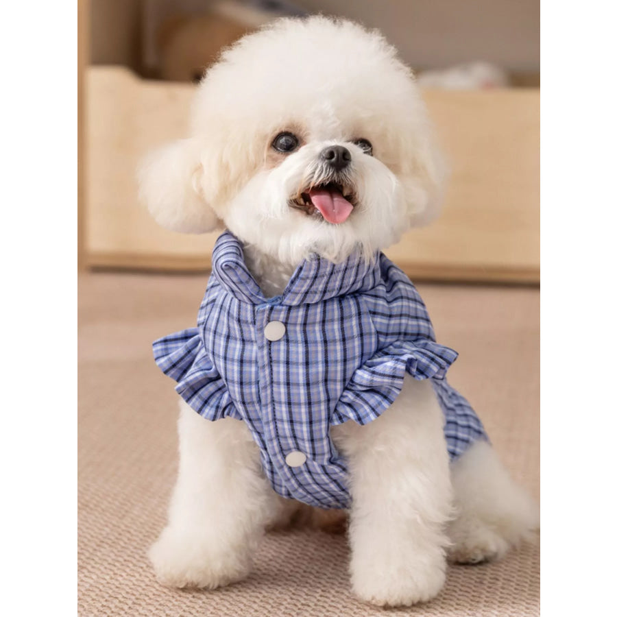 Plaid Ruffle Trim Pet Jacket Bondi Blue (can Be Towed) / XS Apparel and Accessories