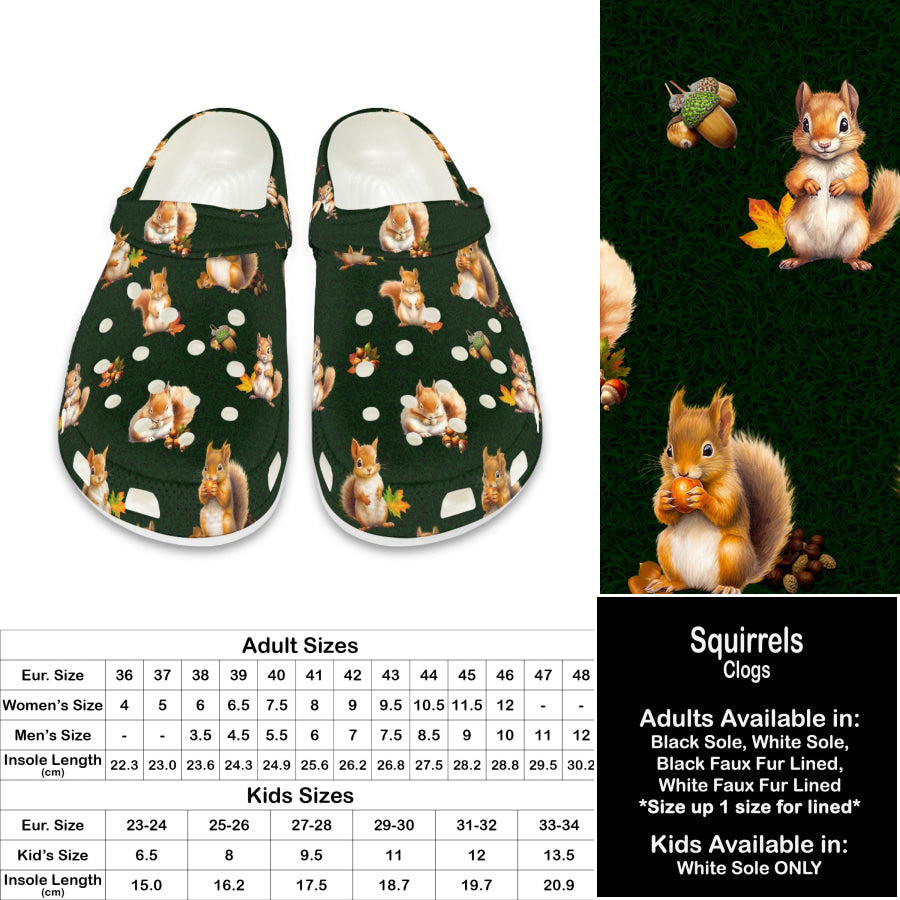 PREORDER Custom Clogs - Squirrels - Closes 21 Sep - ETA late Dec 2024 Clogs