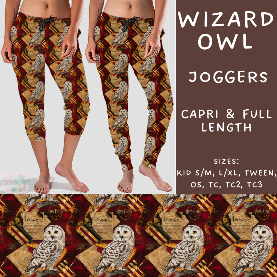 Preorder Custom Styles - Wizard Owl - Closes 2 Dec - ETA late Feb 2025 Leggings