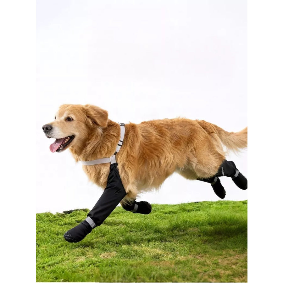Protective Legging Pet Shoes Apparel and Accessories