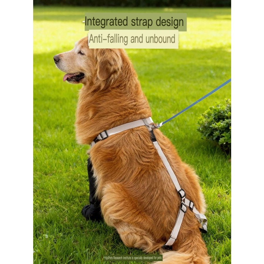 Protective Legging Pet Shoes Apparel and Accessories