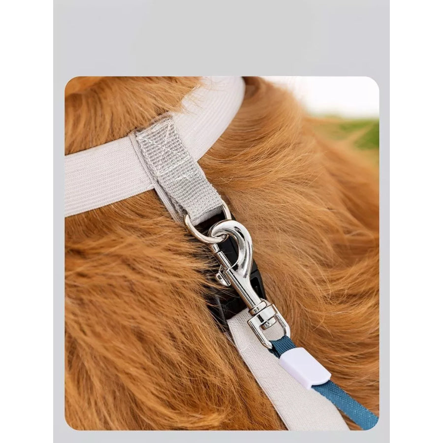 Protective Legging Pet Shoes Apparel and Accessories