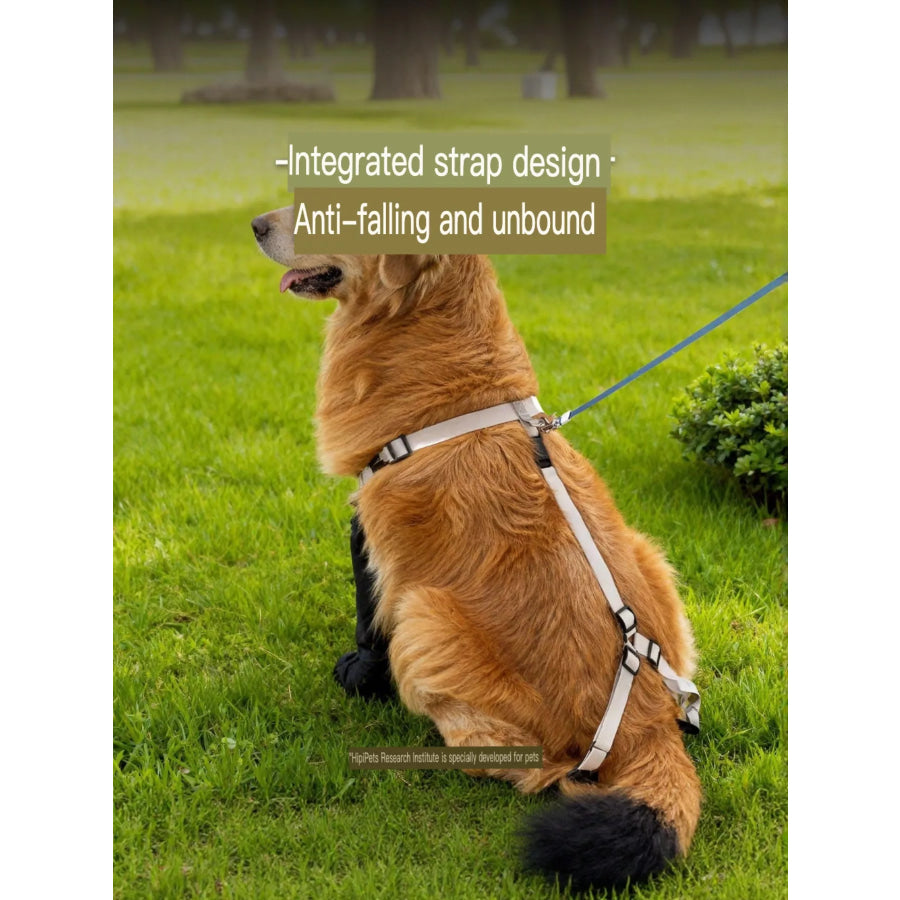 Protective Legging Pet Shoes Apparel and Accessories