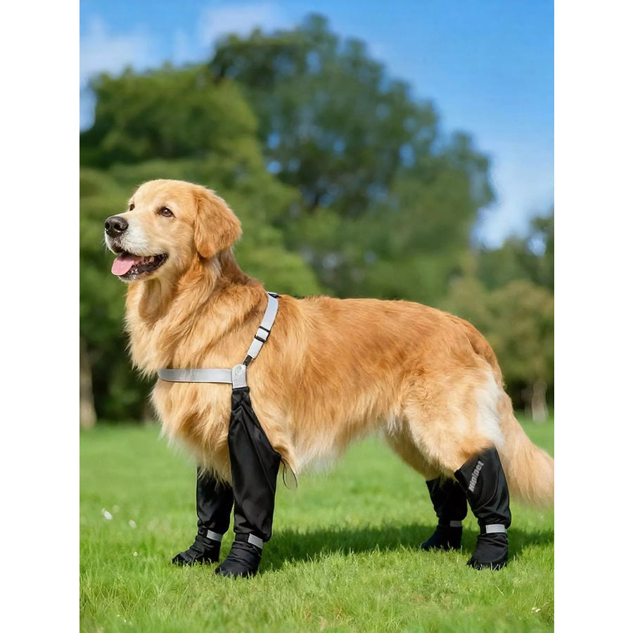 Protective Legging Pet Shoes Leo Black / XS Apparel and Accessories