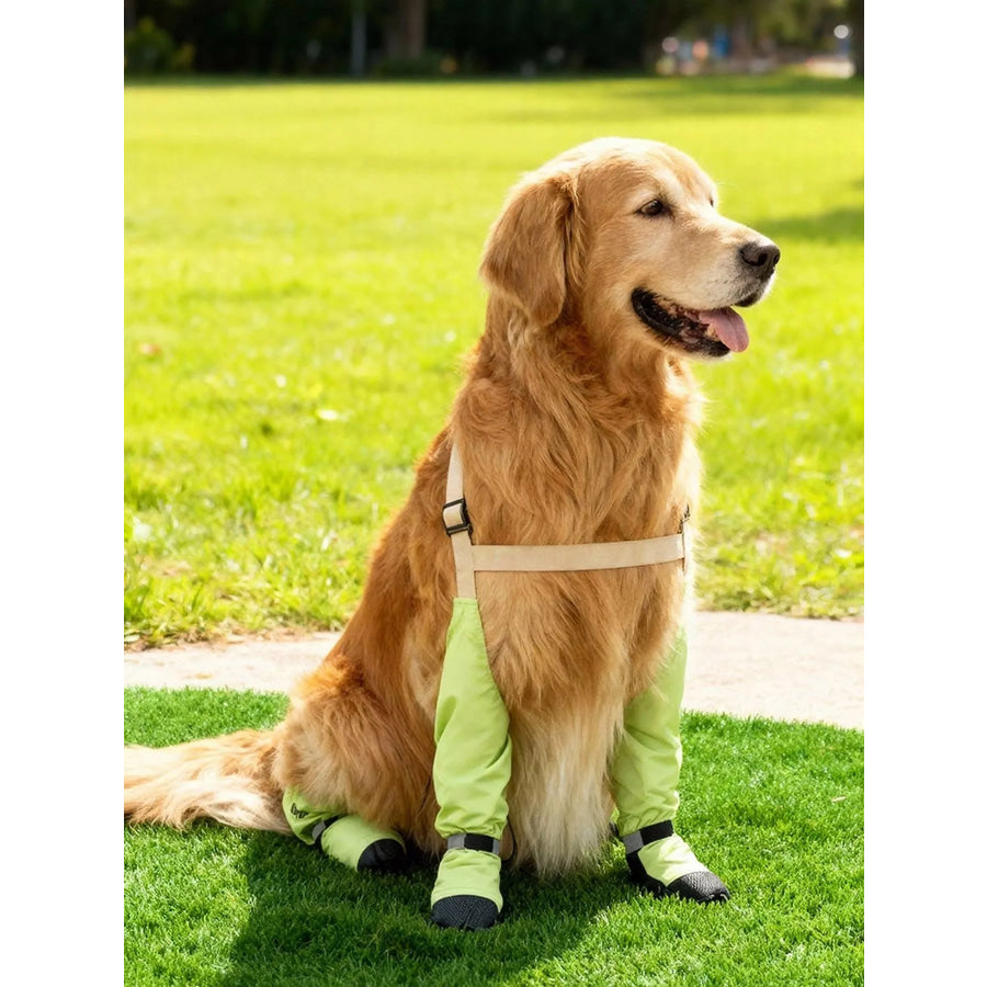 Protective Legging Pet Shoes Tian Green / XS Apparel and Accessories