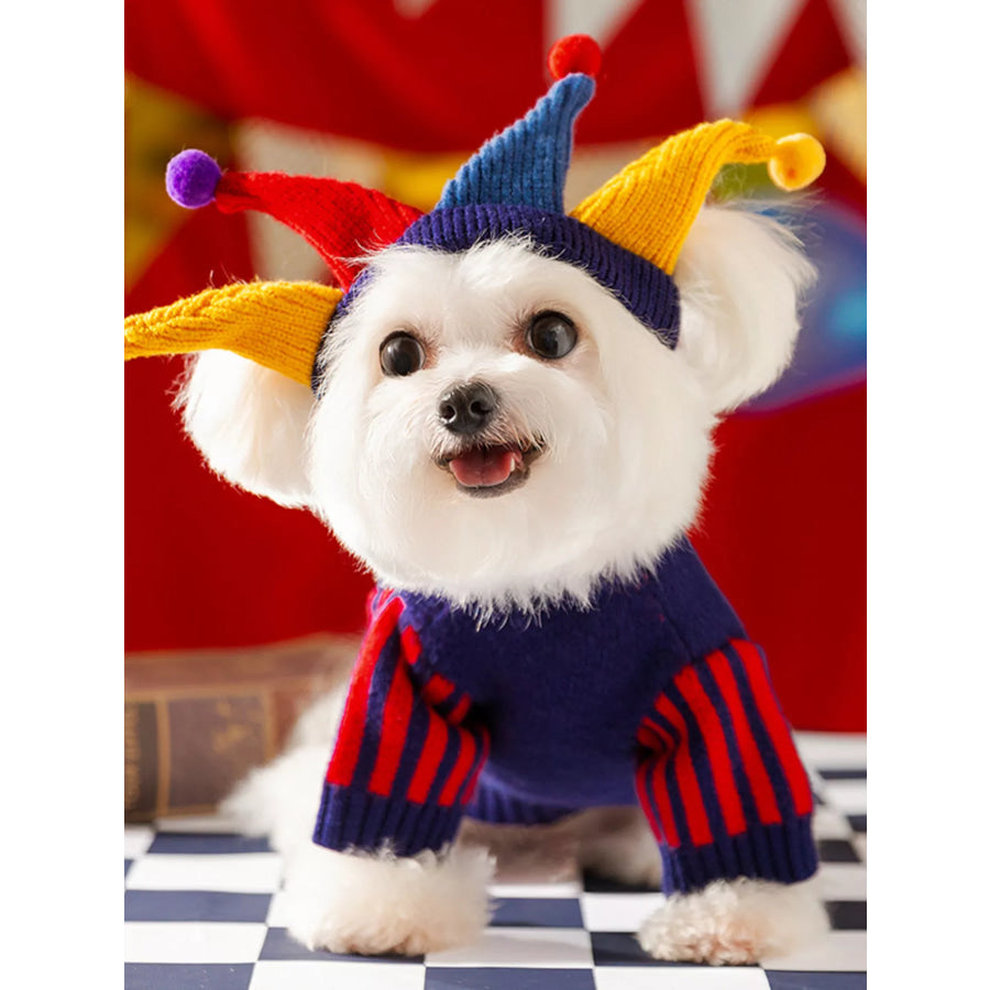 Ribbed Knit Pet Sweaters Blue with hat / XS Apparel and Accessories