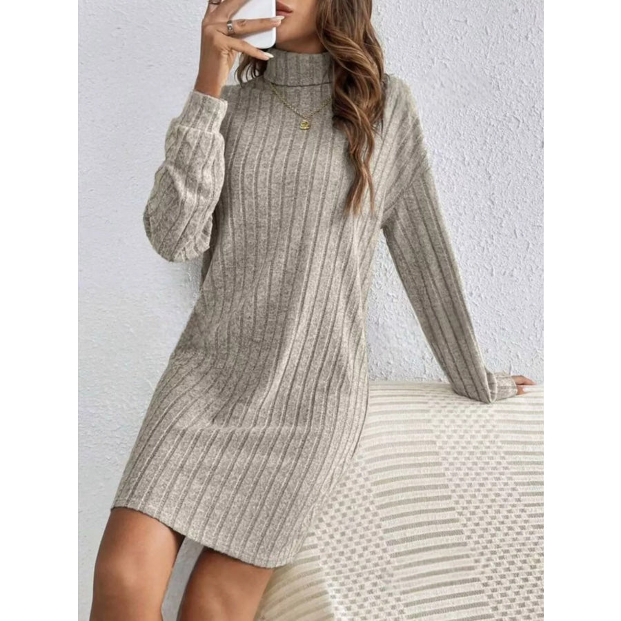 Ribbed Knit Turtleneck Mini Dress Apparel and Accessories