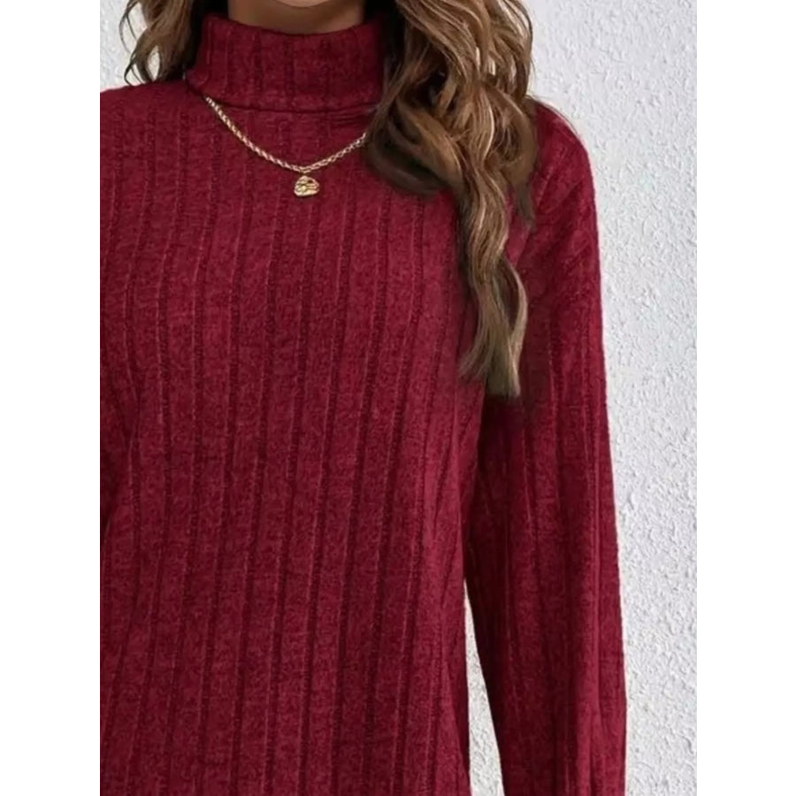 Ribbed Knit Turtleneck Mini Dress Apparel and Accessories