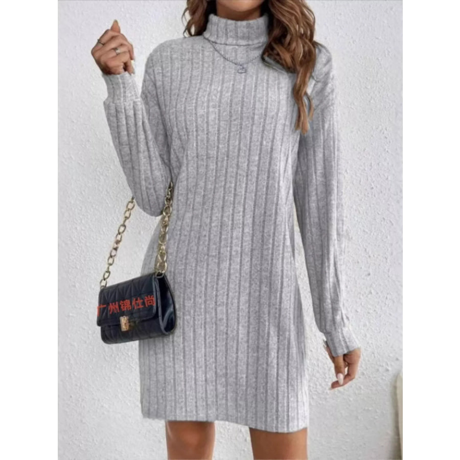 Ribbed Knit Turtleneck Mini Dress Apparel and Accessories