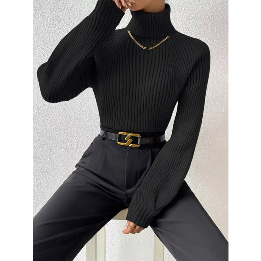 Ribbed Knit Turtleneck Sweater Apparel and Accessories