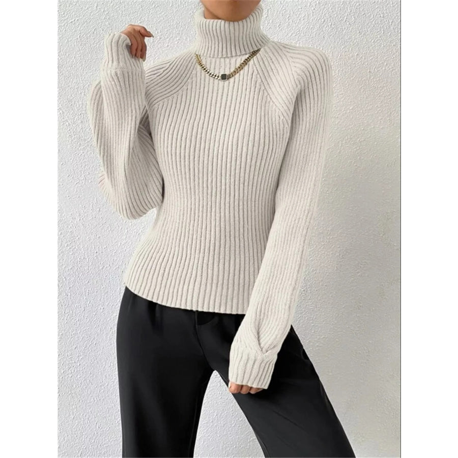 Ribbed Knit Turtleneck Sweater Apparel and Accessories