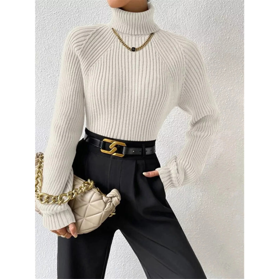 Ribbed Knit Turtleneck Sweater Apparel and Accessories