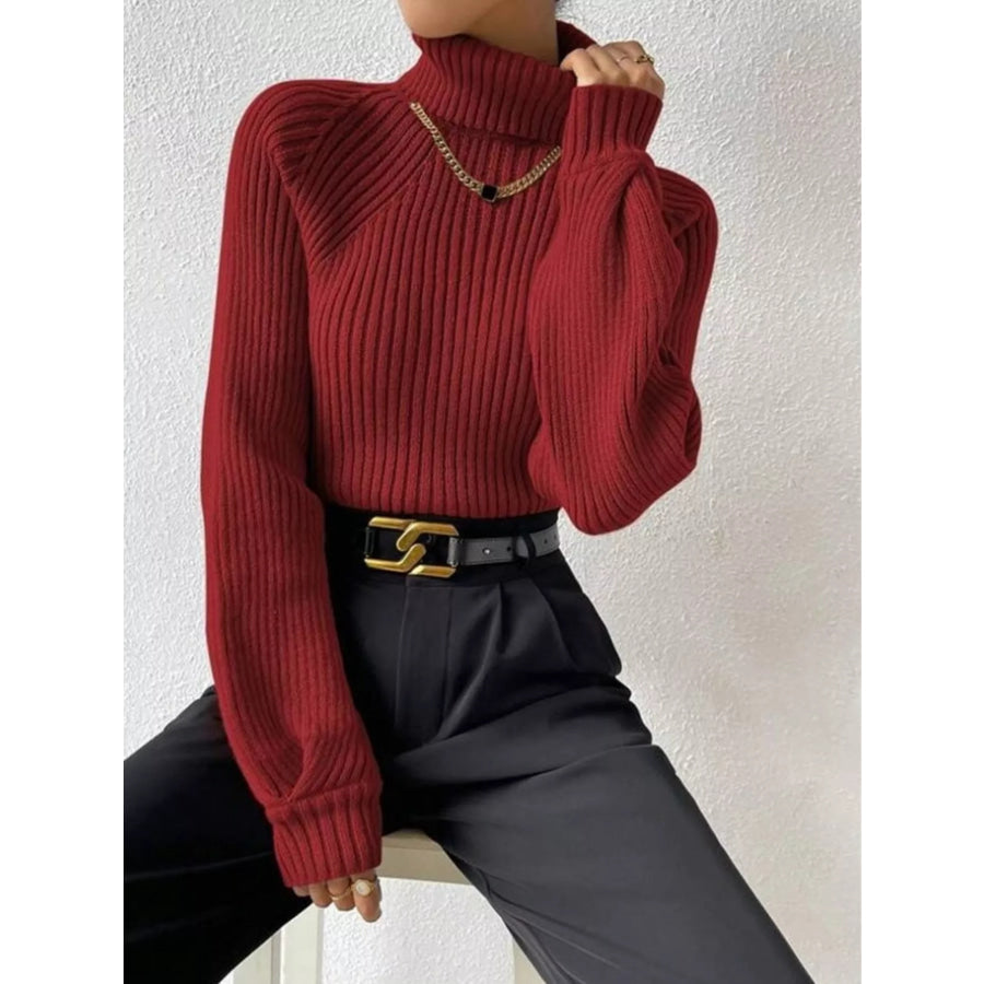 Ribbed Knit Turtleneck Sweater Apparel and Accessories