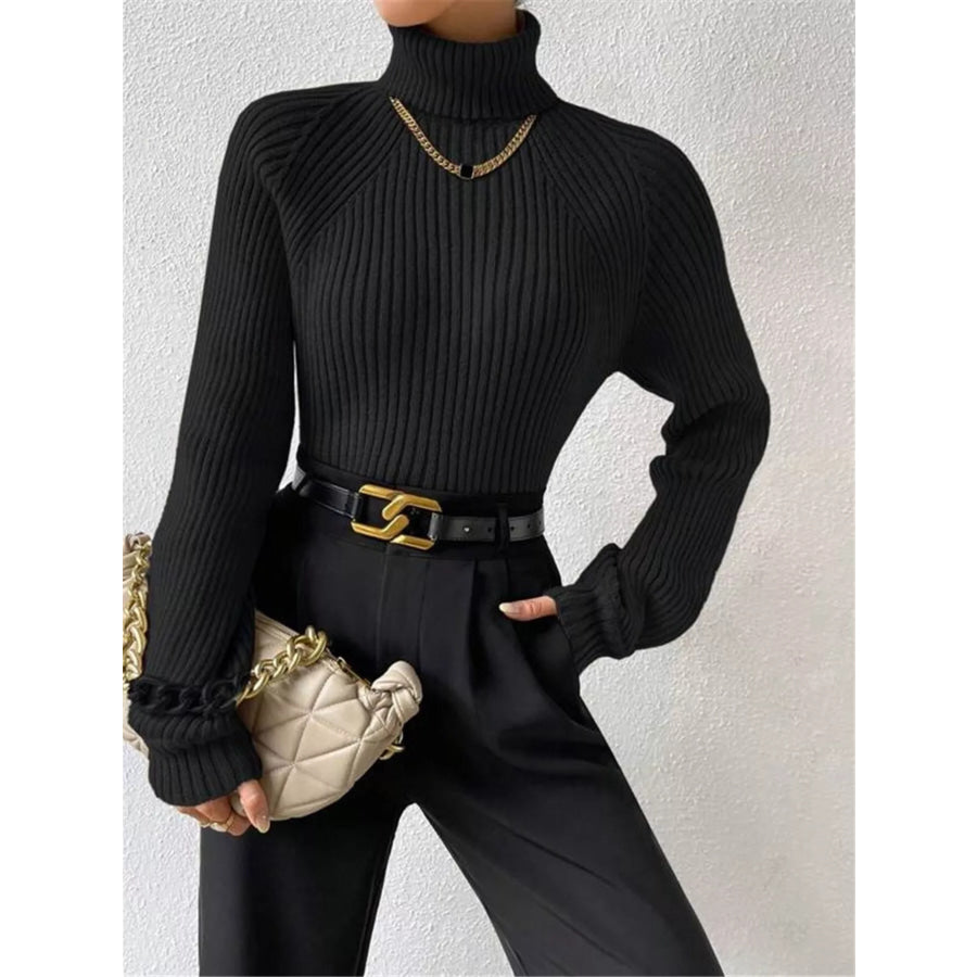 Ribbed Knit Turtleneck Sweater Black / S Apparel and Accessories