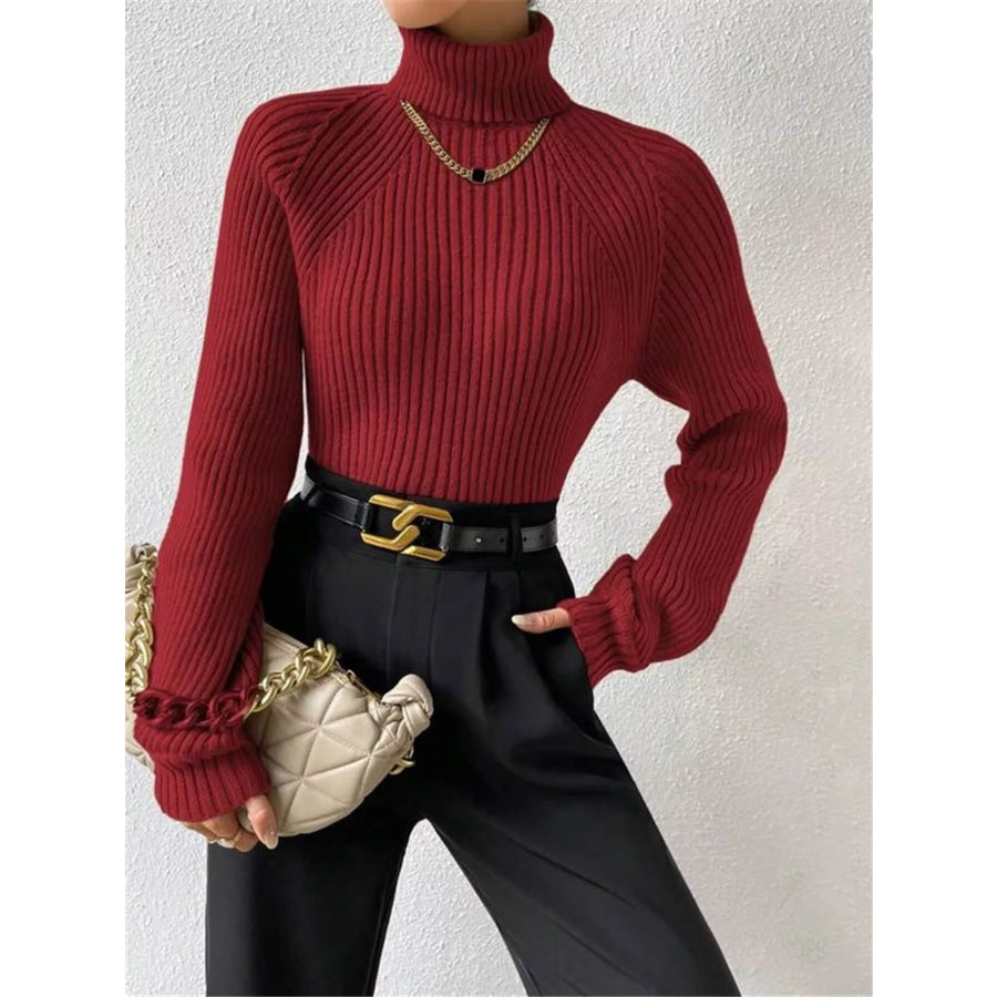 Ribbed Knit Turtleneck Sweater Burgundy / S Apparel and Accessories