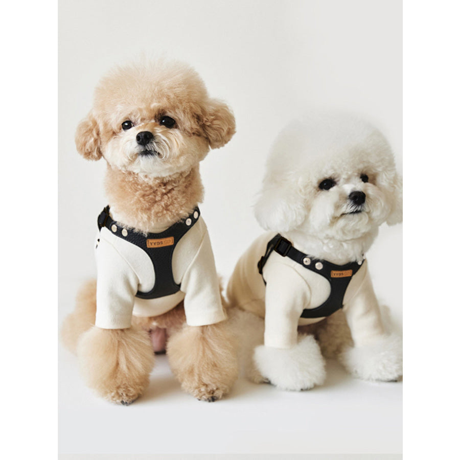 Rivet-Decorated Dog Harness Leash Set Apparel and Accessories