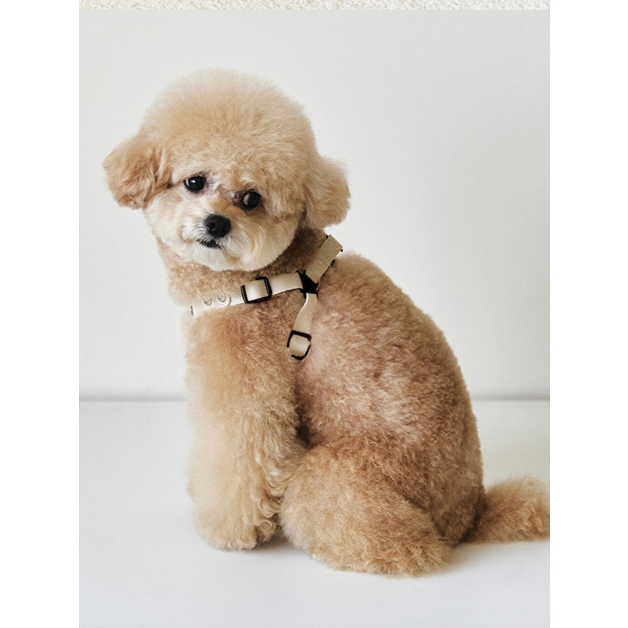Rivet-Decorated Dog Harness Leash Set Apparel and Accessories