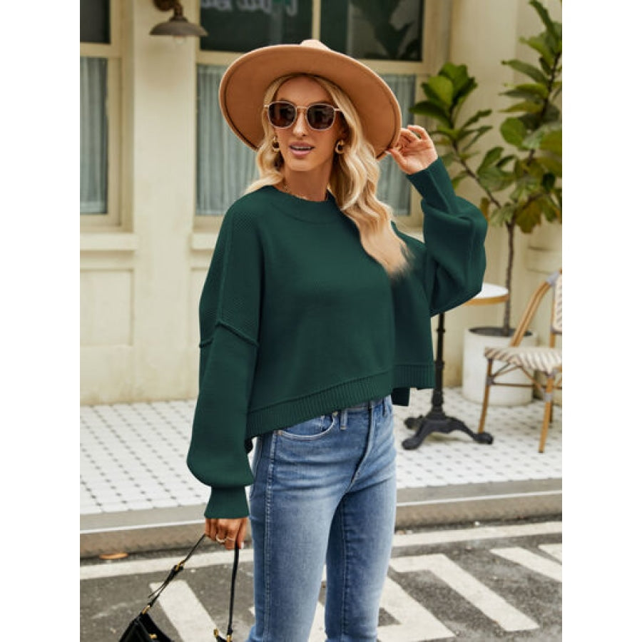 Round Neck Lantern Sleeve Sweater Clothing