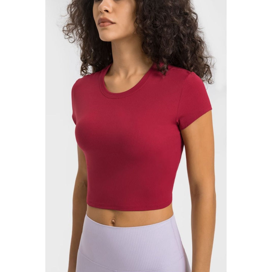 Round Neck Short Sleeve Cropped Sports T-Shirt