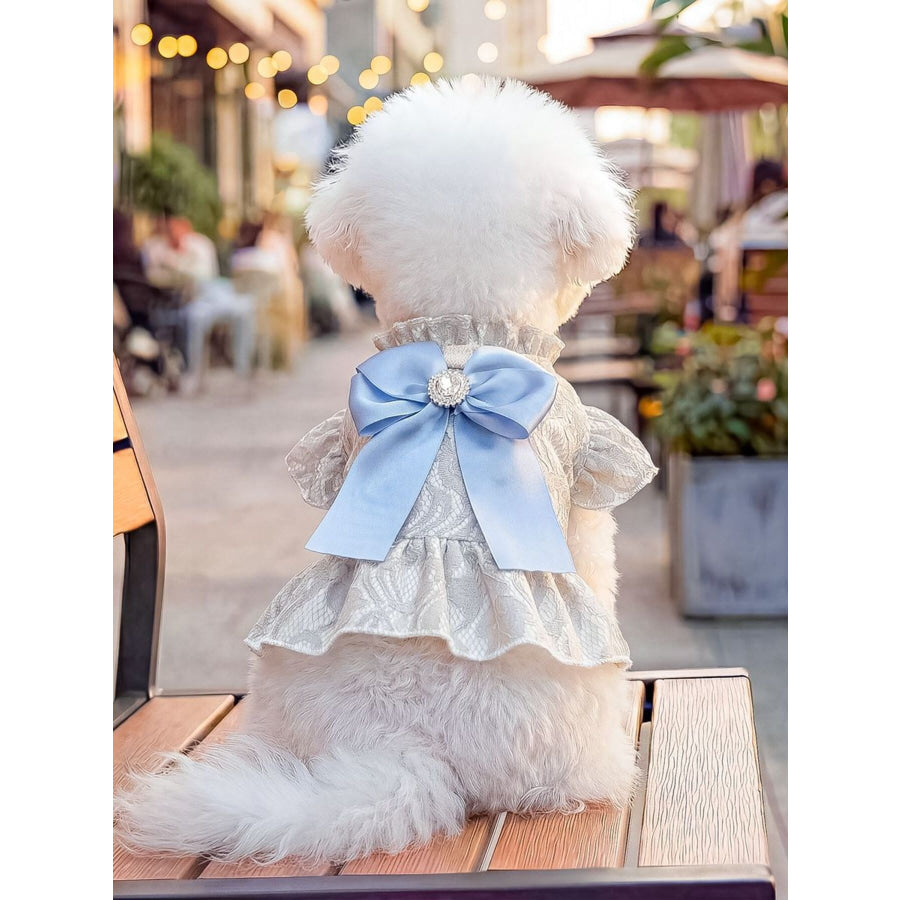 Ruffled Pet Dress with Bow Blue / XS Apparel and Accessories